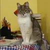 Отзыв от Элла Алешина